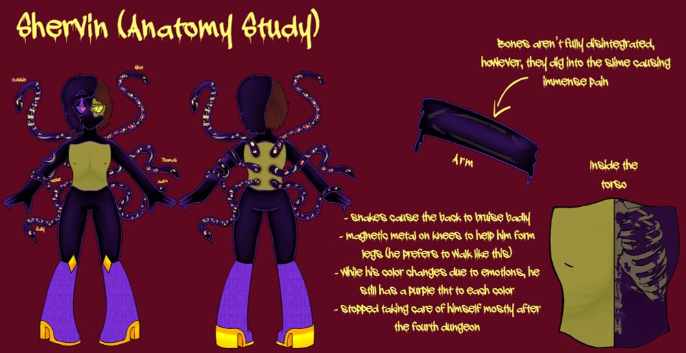Shervin Anatomy Sheet