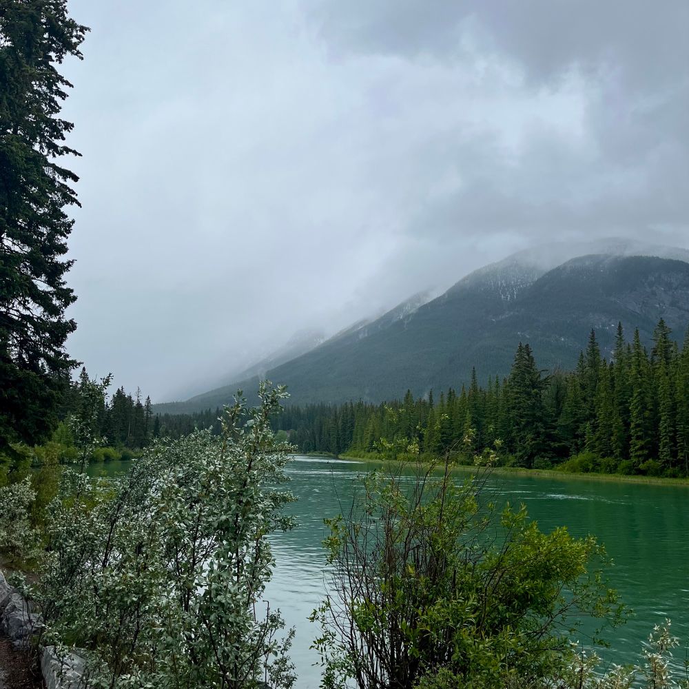 A cloud of fog engulfs a mountaintop along a river with plants and trees on its basin. 