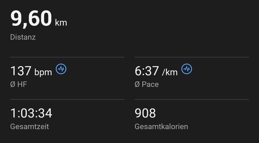 Die Laufdaten: 9,6 Kilometer in 1 Stunde 4 Minuten.