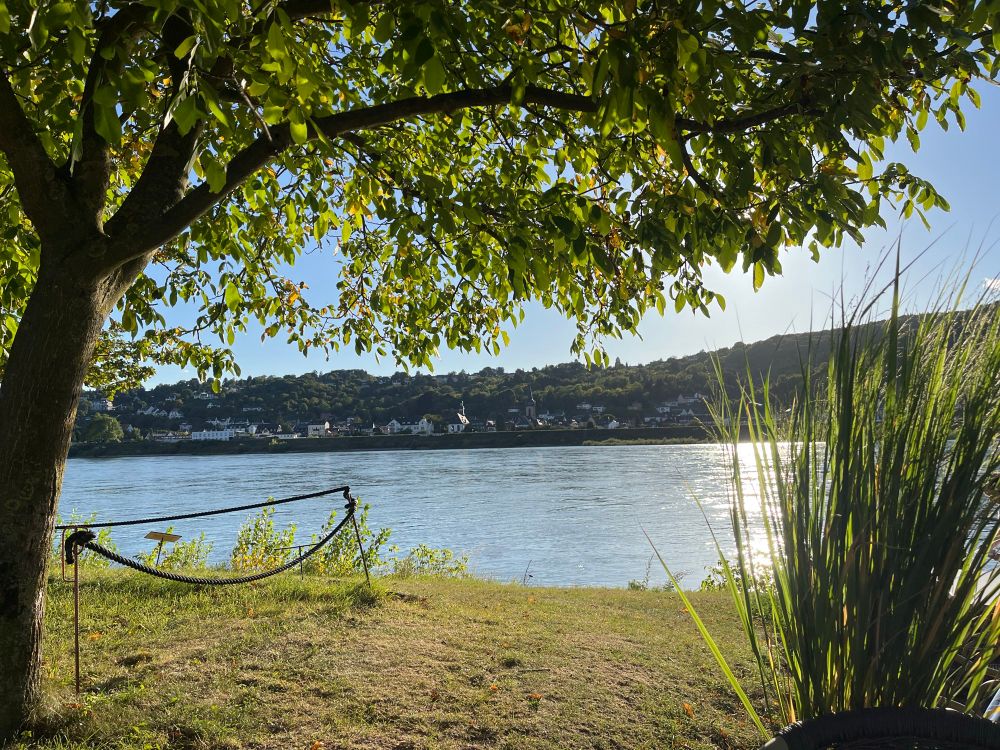 Blick auf den Rhein bei Rheinbreitbach. 