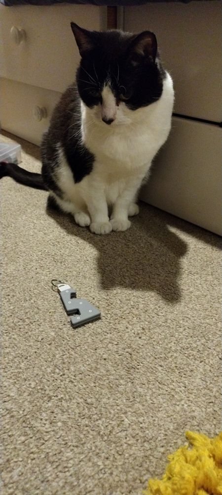 a black and white cat sitting somewhat somberly infront of some plastic thing