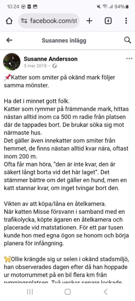 Foto från Facebook-inlägg som redovisar statistik för försvunna katter som hittats inom 1000 meters radie från där de försvann. 