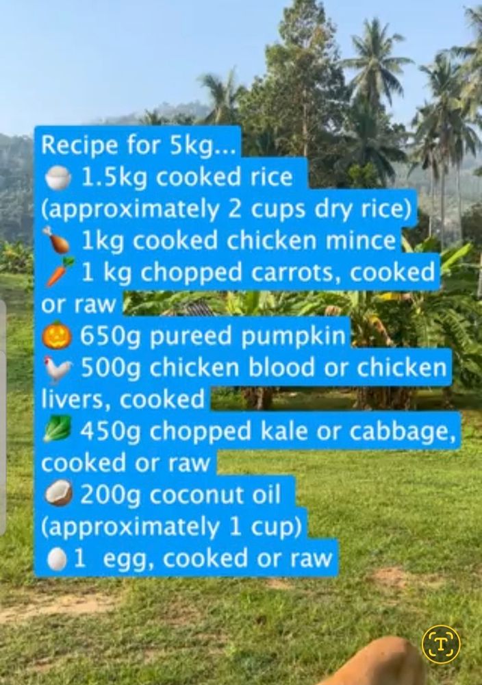 Recipe for 5kg fresh dog food. 1.5kg rice 1kg chicken 1kg carrots 650g pumpkin 500g chicken liver 450g kale or cabbage 200g coconut oil 1 egg. All cooked, minced or pureed of course.