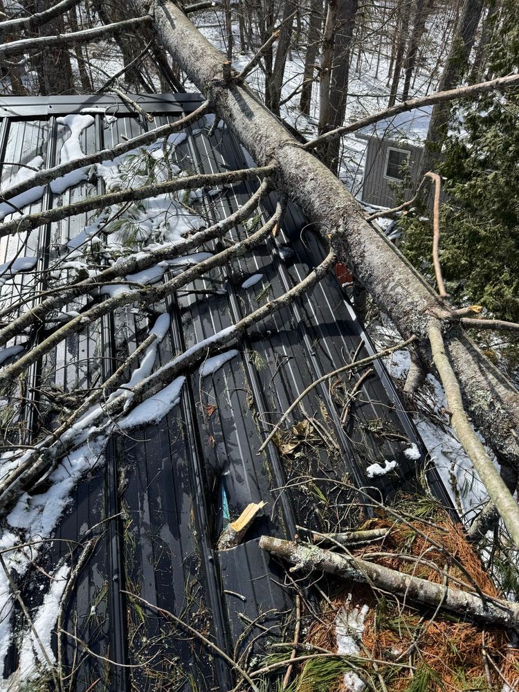A picture of our metal roof with a large downed pine tree lying across it. A smaller branch has punctured the roof.