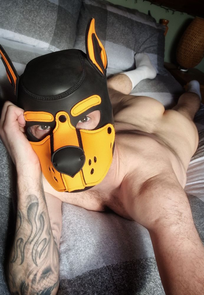 Pup play. Horny Pup. Gay kink. Fetish. Domination. Alpha pup. Nipples. Chub. Chubby. Chubster. Gay chub. Belly. Hanky code. Pup hanky code. Orange hanky code. Gaypup. Gaymer pup. Musky. Sniffer. Sniffies. Huffing. Gaypride. Gay pride. LGBT. LGBTQIA. Hump day. Man ass. Manass. Hairy ass. Gay bottom. Gay otter. Rimming. Eating ass. Eat ass. Rimjob. Gay pup. Anal. Hairy man. Bisexual guy. White socks. Tube socks. Sock kink.