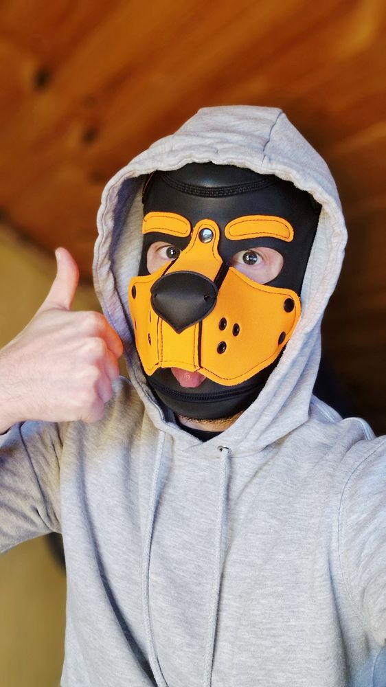 Pup play. Gay pup. Horny Pup. Pup cuddles. Gay kink. Gay chub. Hanky code. Pup hanky code. Orange hanky code. Gaypup. Gaymer pup. LGBT. LGBTQIA. Gay otter. Gay pup. Gamer. Horny pup. Gaypuppy. Dublin gay. Gaydublin. Gay kink. Bisexual guy. SFW. Gaypup.