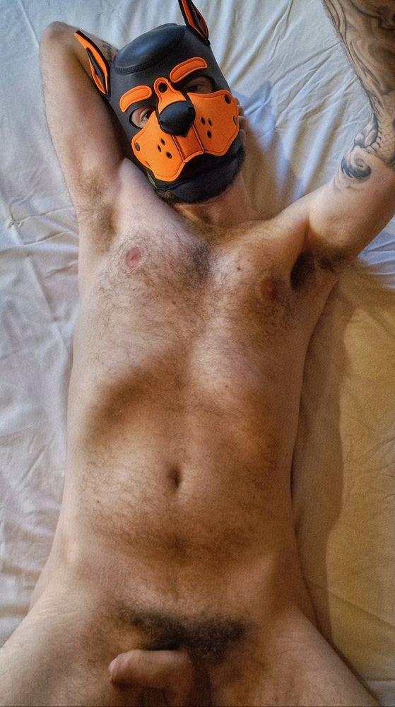 Softie Saturday. SoftieSaturday. Flaccid dick. Soft cock. Small cock. Small dick. Balls. Chubby. Gay chub. Belly. Belly button. Nipples. Uncut cock. Pup play. Gaypup. Gay kink. Scrotum. Small balls. Horny Pup. Gay pup. Horny Pup. Pup cuddles. Gay kink. Fetish. Domination. Alpha pup. Chub. Gay. Submissive pup. Gaypup. Gaymer pup. Musky. Armpit. Pits. Sniffer. Sniffies. Huffing. Hairy bear. Bear cub. Bear top. Gay Bear. Gay Otter. Musclepup in training. Balls. Cock and balls. Gay Top. SoftCockSaturday. Gay otter. Lazy Sunday. Horror movie marathon.