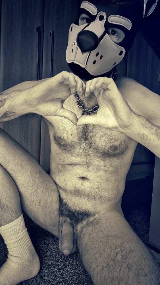 Pup play. Gay pup. Horny Pup. Pup cuddles. Gay kink. Fetish. Gay chub. Bear. Hairy bear. Orange pup hood. Hanky code. Pup hanky code. Orange hanky code. Gaypup. Gaymer. Pride. Gay pride. Gaypride. LGBT. LGBTQIA. LGBTQ. #MonochromeMonday , #mcm, MCM MonochromeMonday. Monochrome. Gay otter. Edging. Gooner. Goon. Gooning. Undies. Naked. Nude. Future muscle pup. Bisexual guy. White socks. NSFW. Dick pic.