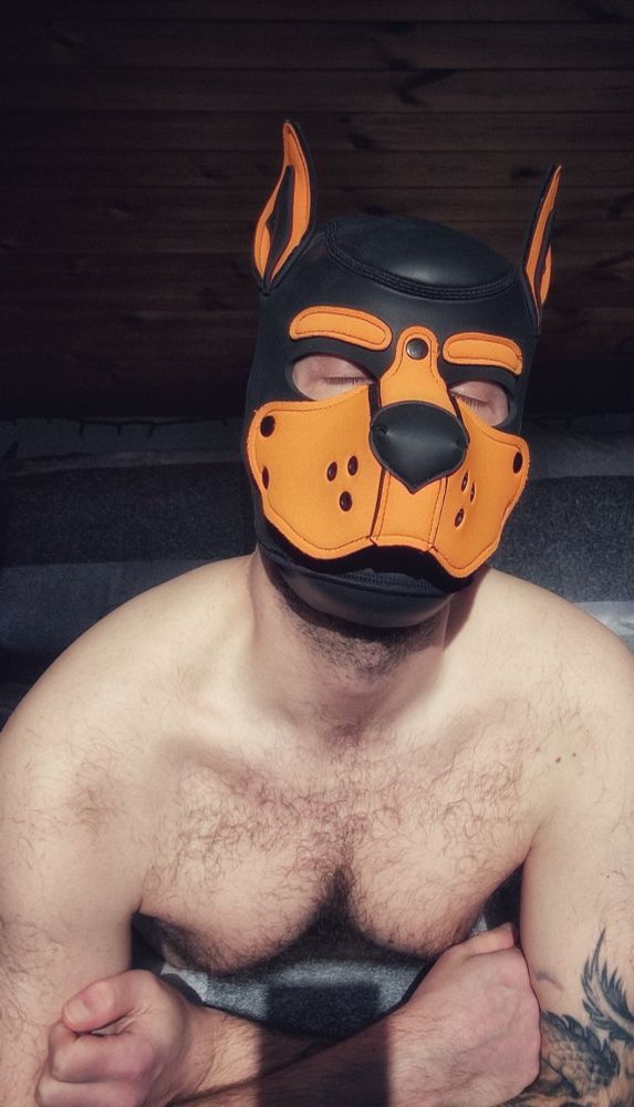 Pup play. Gay pup. Horny Pup. Pup cuddles. Gay kink. Gay chub. Hanky code. Pup hanky code. Orange hanky code. Gaypup. Gaymer pup. LGBT. LGBTQIA. Gay otter. Gay pup. Gamer. Friday. Horny pup. Gaypuppy. WFH. Dublin gay. Gaydublin. Gay kink. Bisexual guy. SFW.
