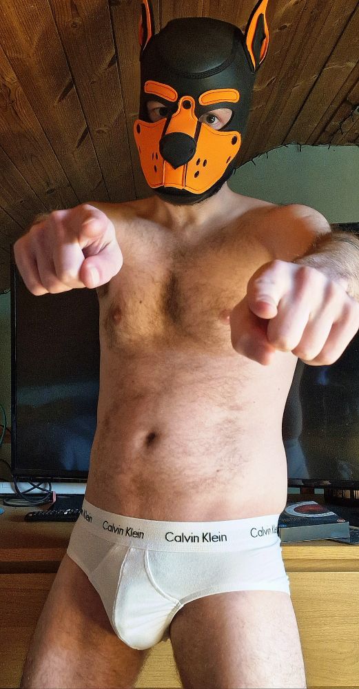 Brickz showing off his tighty whities bulge 😉

Pup play. Gay pup. Horny Pup. Pup cuddles. Gay kink. Fetish. Domination. Alpha pup. Nipples. Chub. Chubby. Chubster. Gay chub. Balls. Small cock. Small dick. Submissive pup. Orange pup hood. Hanky code. Pup hanky code. Orange hanky code. Briefs. Jock. Underwear kink. Underwear fetish. Undies. TightyWhitiesTuesday. Gaypup. #TightyWhitiesTuesday. TWT. #TWT Gaymer Pup. Future muscle pup. LGBT. Sweaty balls. Musky balls. Edging. Gooner. Goon. Gooning. Undies. Huffing. Huff. Sniff. Sniffies. Sniffing. Tighty whities.