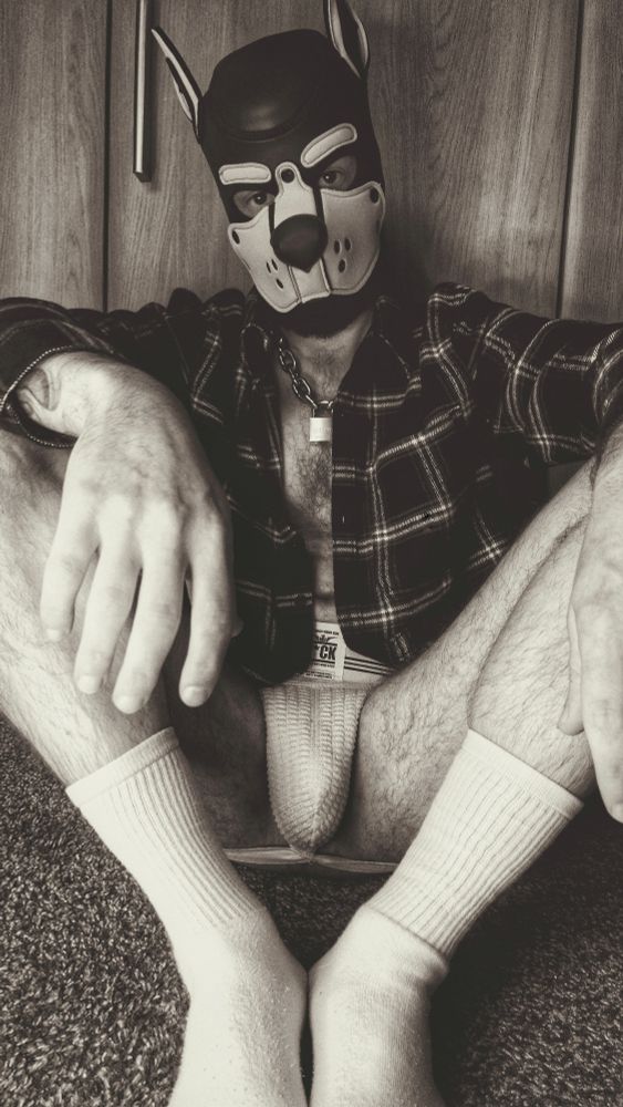 Horny Pup Play. Gay Kink. Fetish. Alpha Pup. Gay Bear. Hairy Gay Otter. Orange Hanky Code. GayPup. Gaymer. Pride. LGBT. LGBTQ. Jockstrap. Undies. Underwear kink. Edging. Goon. Gooner. Gooning. Sniffies. Sniffing. Musky. Huffing. Bisexual Guy. MCM. Black & White. B&W. Black and White. Monochrome Monday. Monochromatic. MonochromeMonday. Grunge. 90s