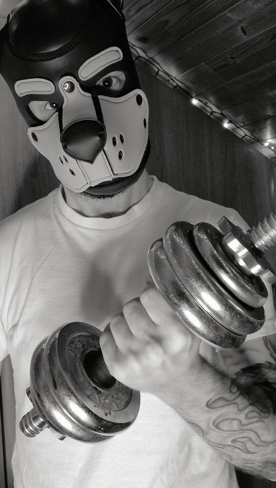 Brickz is struggling to keep going with the weights having never seen any growth 😭😭

Pup play. Gay pup. Horny Pup. Pup cuddles. Gay kink. Gay chub. Hanky code. Pup hanky code. Orange hanky code. Gaypup. Gaymer pup. LGBT. LGBTQIA. Gay otter. Gay pup. Gamer. Friday. Horny pup. Gaypuppy. WFH. Dublin gay. Gaydublin. Gay kink. Bisexual guy. SFW. Motivation Monday. MonochromeMonday. Monochrome Monday. MCM.