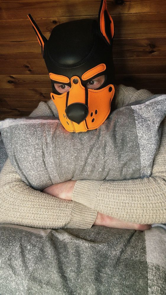 Pup play. Gay pup. Horny Pup. Pup cuddles. Gay kink. Gay chub. Hanky code. Pup hanky code. Orange hanky code. Gaypup. Gaymer pup. LGBT. LGBTQIA. Gay otter. Gay pup. Gamer. Horny pup. Gaypuppy. Dublin gay. Gaydublin. Gay kink. Bisexual guy. SFW. Gaypup. Friday.