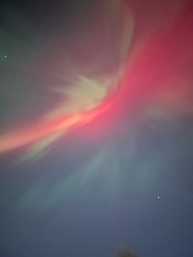 The dancing Aurora in bright reds, pinks, and greens dancing in the night sky 
