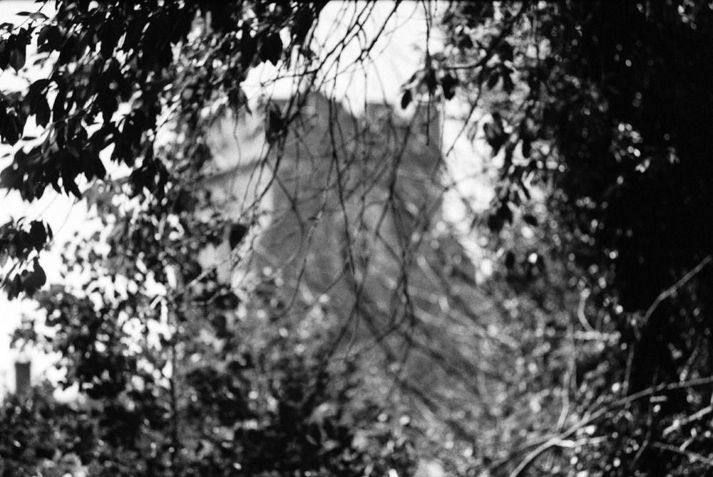 a grainy black & white photo of foliage obscuring a church, which is out of focus
