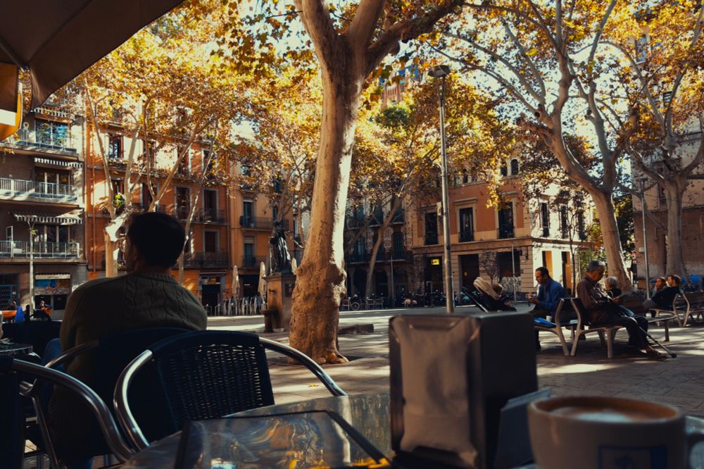 Plaza in Barcelona from the perspective of a cafe table. Sun filters through the towering trees, people sit at tables and on benches.
