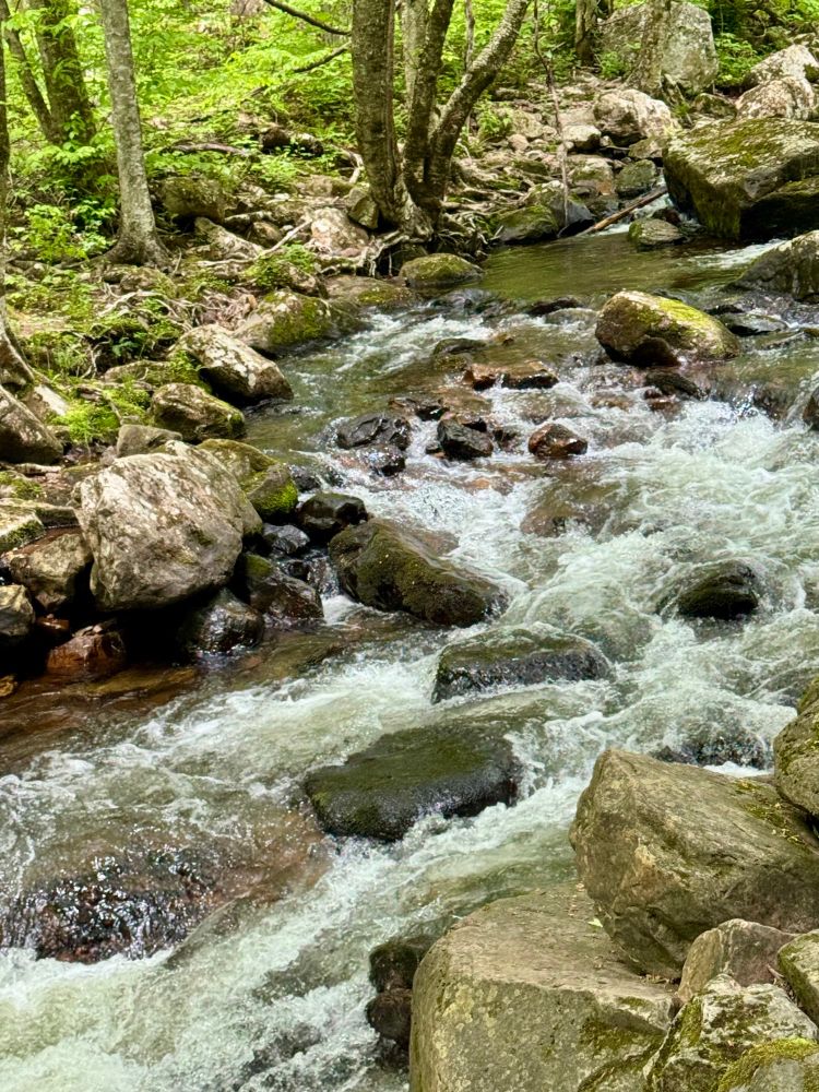 Water running in Tumbling Creek