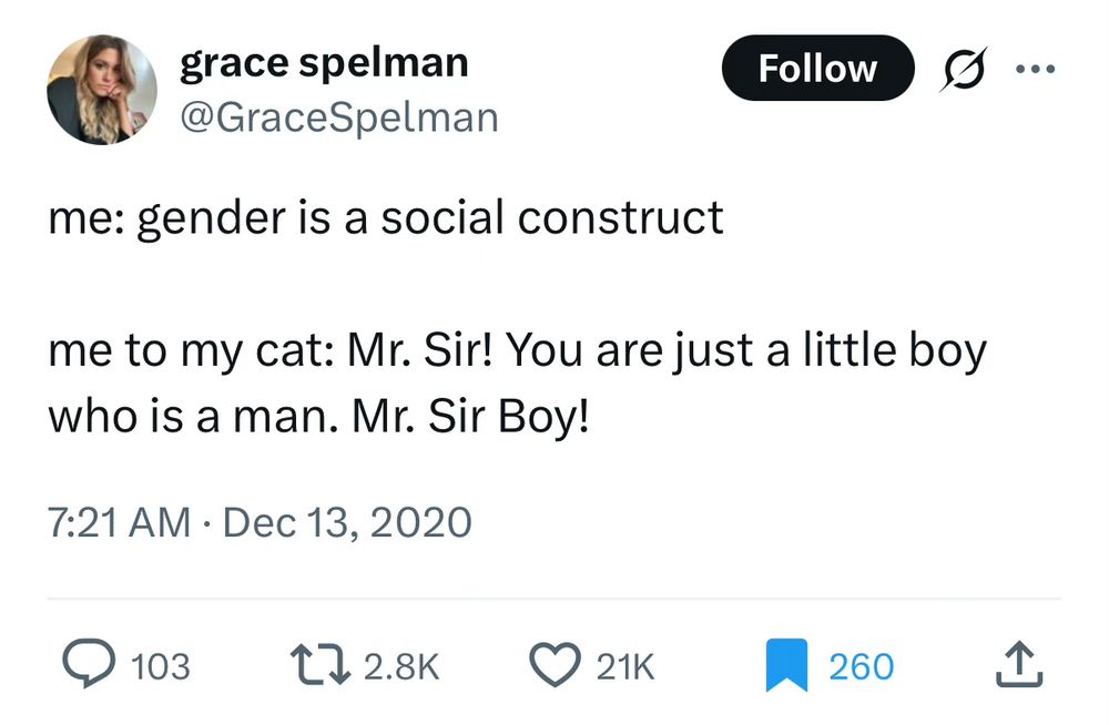 Screenshot of a tweet from "grace spelman", @GraceSpelman. 103 comments, 2.8K retweets, 21K likes, 260 bookmarks (including me). Posted 7:21am on December 13th, 2020. The tweet reads:

me: gender is a social construct

me to my cat: Mr. Sir! You are just a little boy who is a man. Mr. Sir Boy!