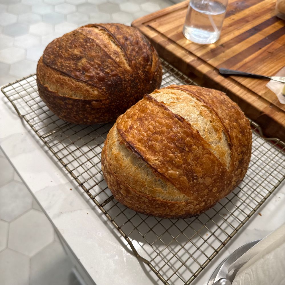 Two loaves of sourdough bread in the form of boules. One loaf on the upper left is quite dark and is a bit over baked due to high heat. The bottom right loaf appears to be baked correctly with nice blistering on the crust. 