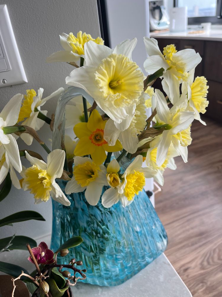 Vase full of daffodils 