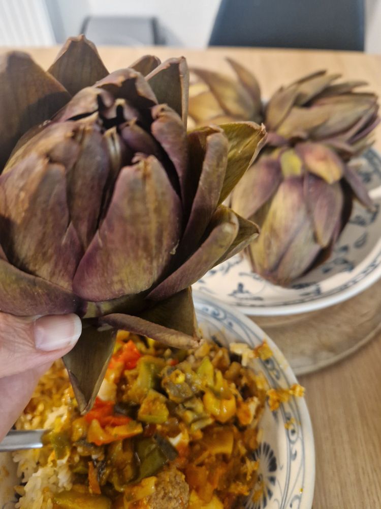 Close up of an artichoke, dinner.