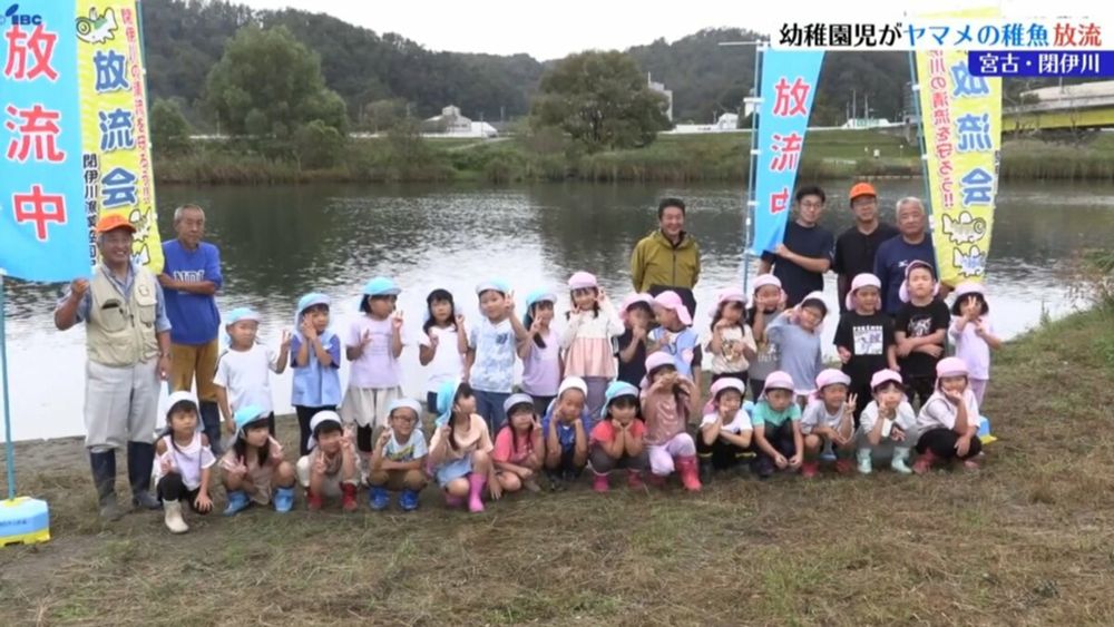 「かわいかったしすごかった！」ふるさとの川の豊かな環境を守るため、閉伊川で幼稚園児がヤマメ稚魚放流　岩手・宮古市 | IBC NEWS | IBC岩手放送 (1ページ)