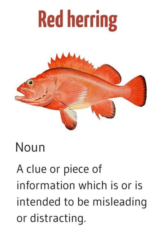 Red herring: (noun) a clue or piece of information which is or is intended to be misleading or distracting.