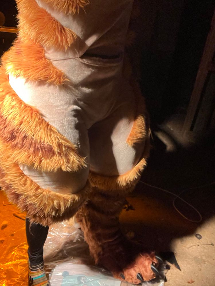 Thicc ass fursuit thighs