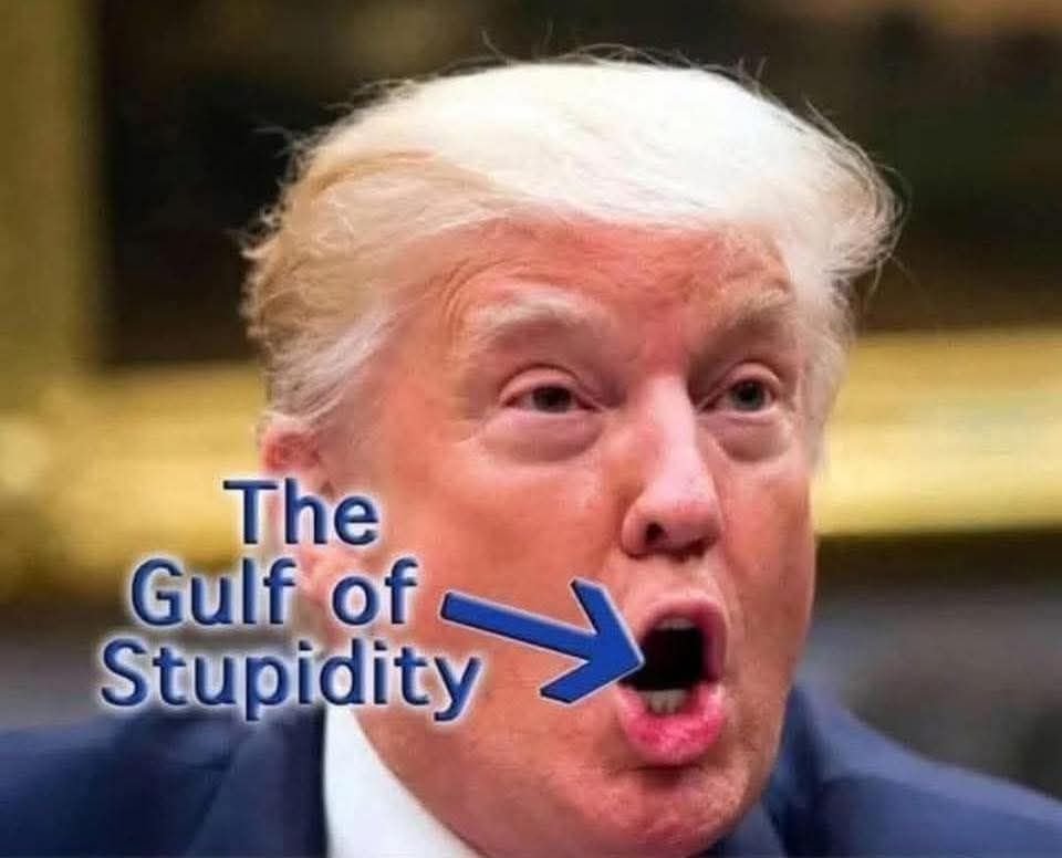 An image of Trump while he's speaking, his mouth is open in that puckered butthole sort of way. There is text that says "The Gulf of Stupidity" and an arrow pointing to his open mouth.