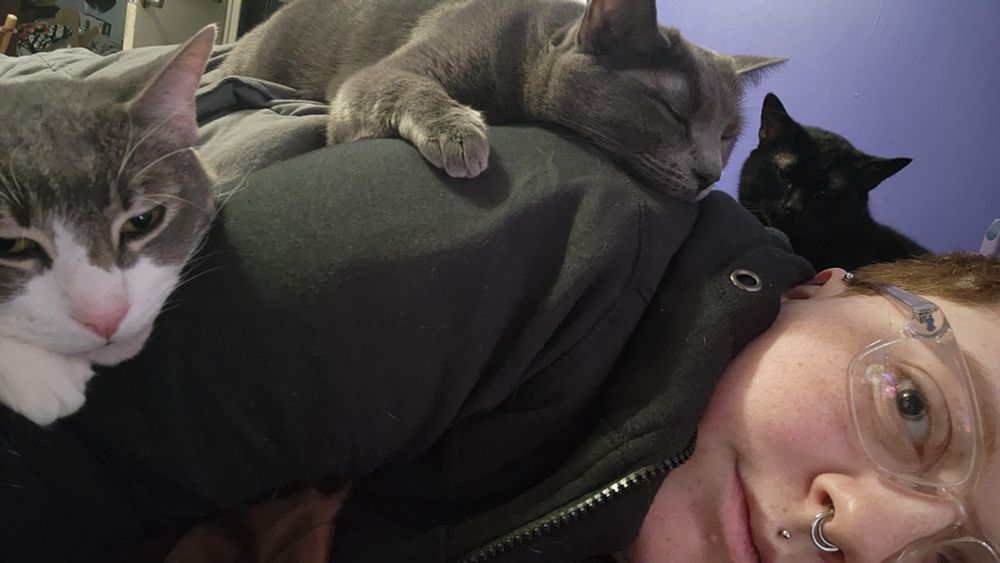 Person with glasses lying down with three cats resting on their back and next to them.