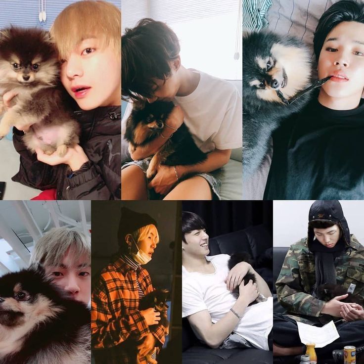 Collage of photos showing all BTS member's holding V's dog Yeontan. Top left to right: V, J-Hope, Jimin. Bottom left to right: Jin, Suga, Jungkook, and RM.