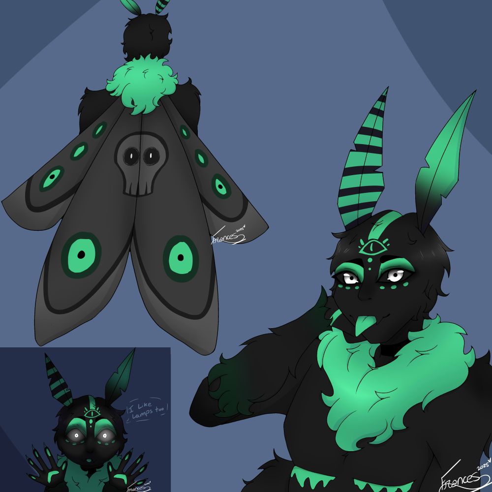 Jayxe for Mx_Gentleman