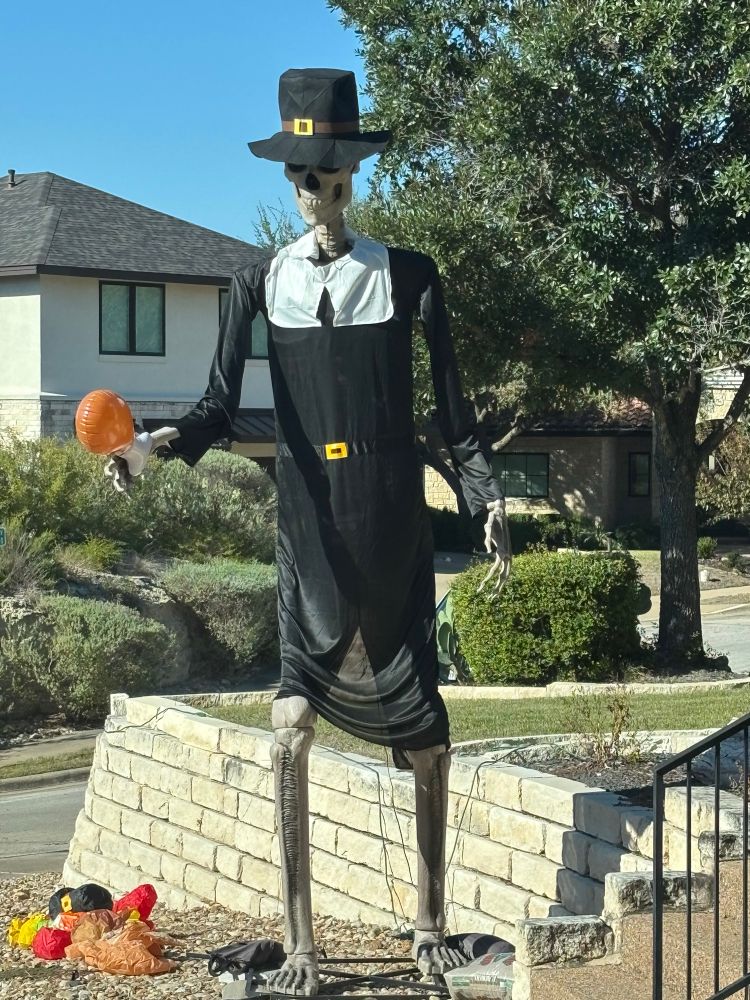 Giant skeleton Halloween yard decoration repurposed for Thanksgiving by dressing it in a pilgrim’s tunic and hat. 