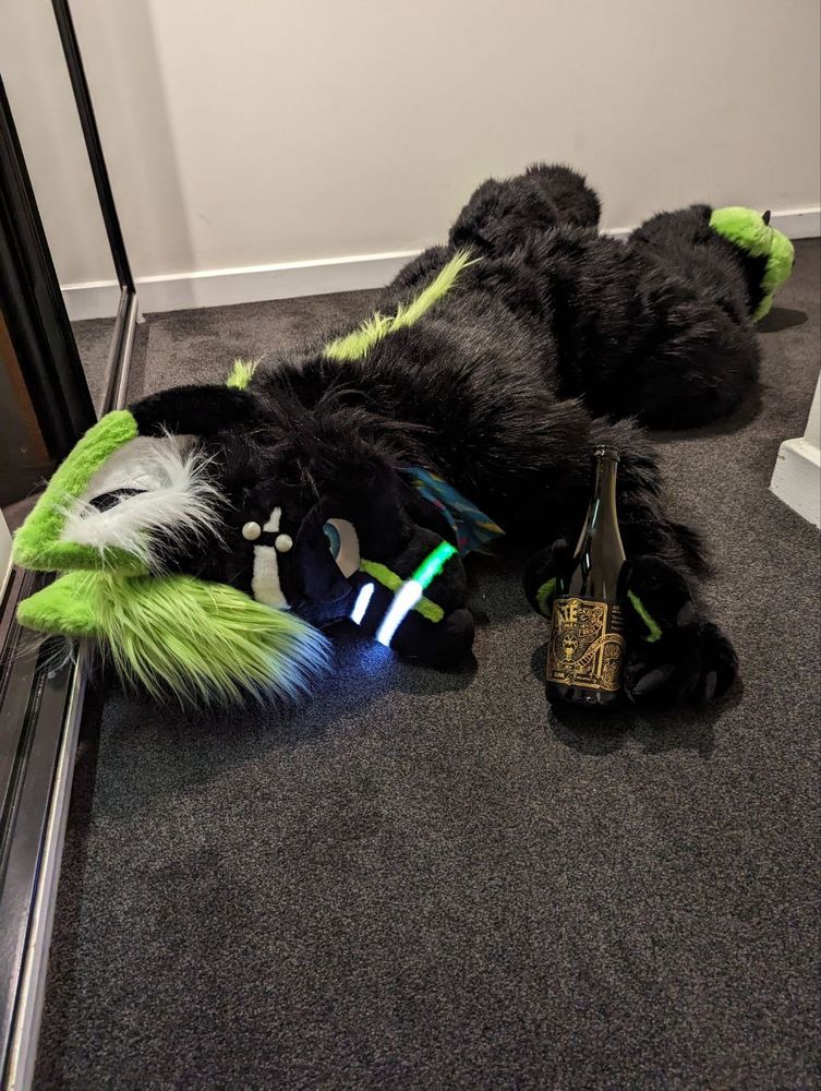 Drunk wolf on the floor