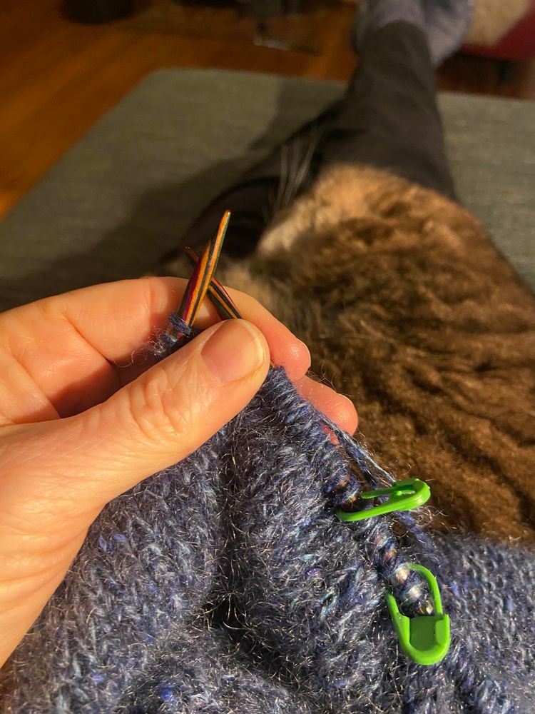 Een blauwgrijs breiwerk in een hand, met twee felgroene steekmarkeerders. Op de achtergrond een poes die op de schoot van de breipersoon ligt te slapen. 