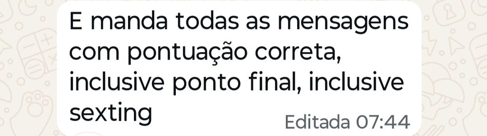 Um print de whatsapp que diz: "e manda todas as mensagens com pontuação correta, inclusive ponto final, inclusive sexting"