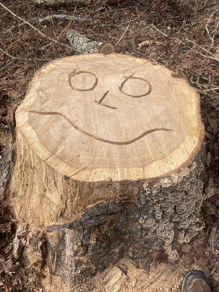 Tree stump with goofy face carved into it