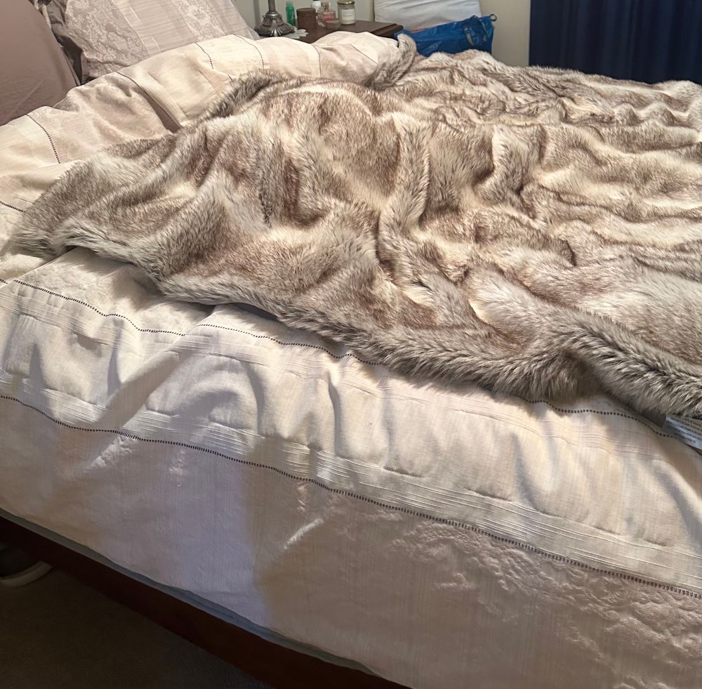 Picture of cosy bedding with a large lump under it, which is in fact a buried sausage (Weiner) dog. My big girl loves to burrow. Today she took herself back to bed immediately after going outside cause it be 🌧️🌧️🌧️

#dachshund
