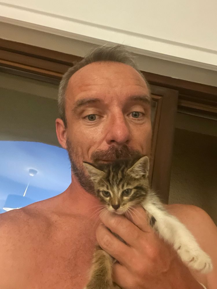 Petit chaton qui est rentré par le jardin de la location de vacances parce qu’il est trop mignon .
Le chaton se situe au premier plan sur la photo.