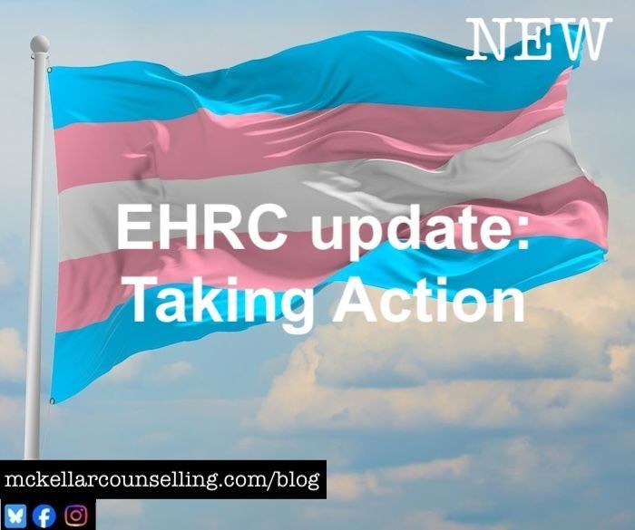 The trans pride flat. The blog title says "EHRC update: Taking Action."