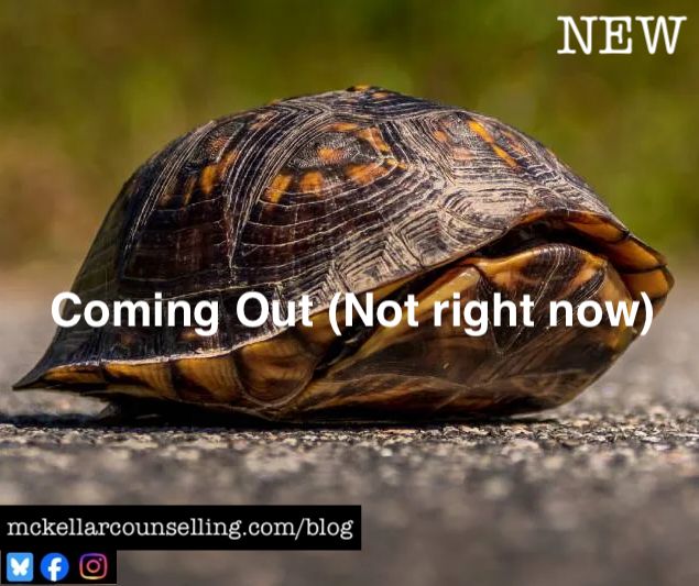A turtle is hiding in it's shell, but that's ok. The text reads :Coming out (Not right now).