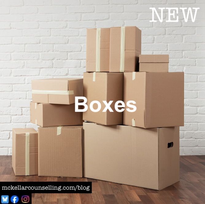 Carefully sealed and maintained boxes against a white brick wall. The title of the blog is called 'Boxes.'