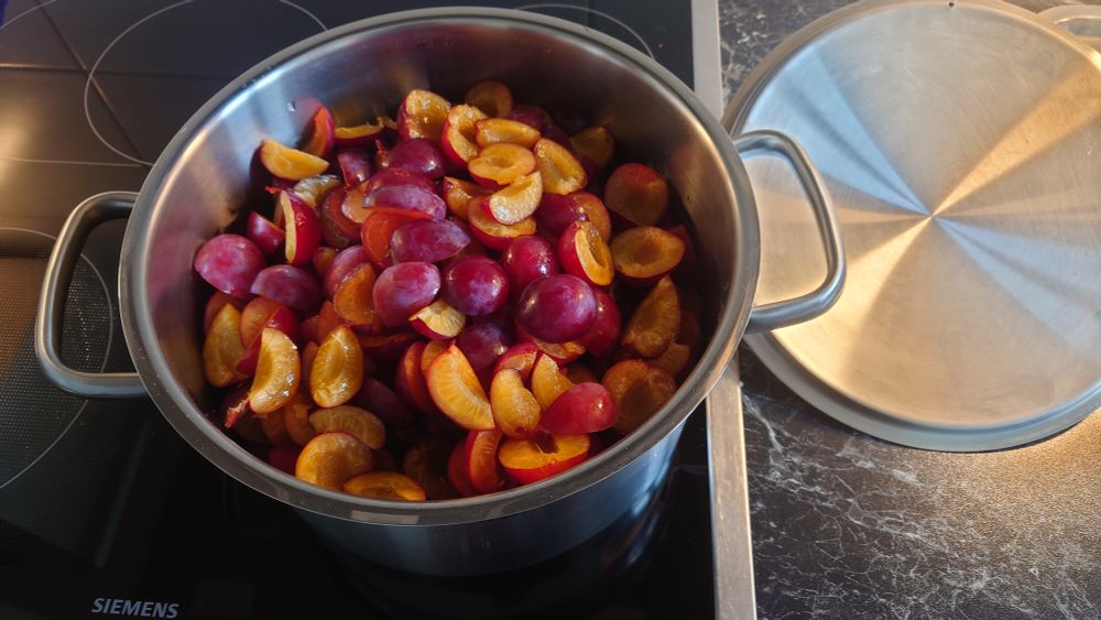 1 Topf voll mit roten Mirabellen.