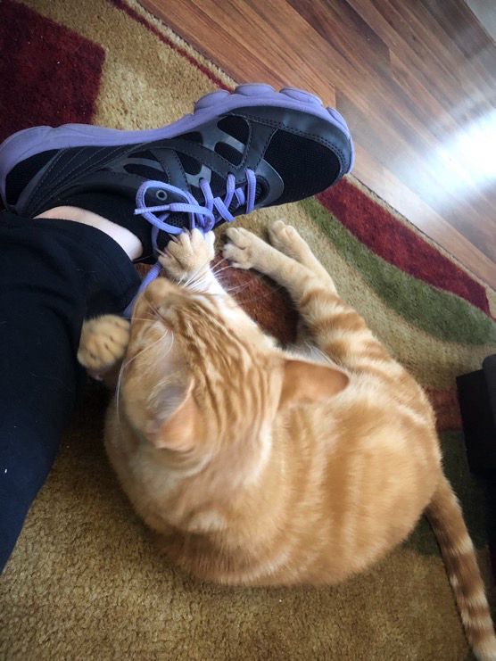 Julius excelling in his personal exercise role, helping his mom with stretches.