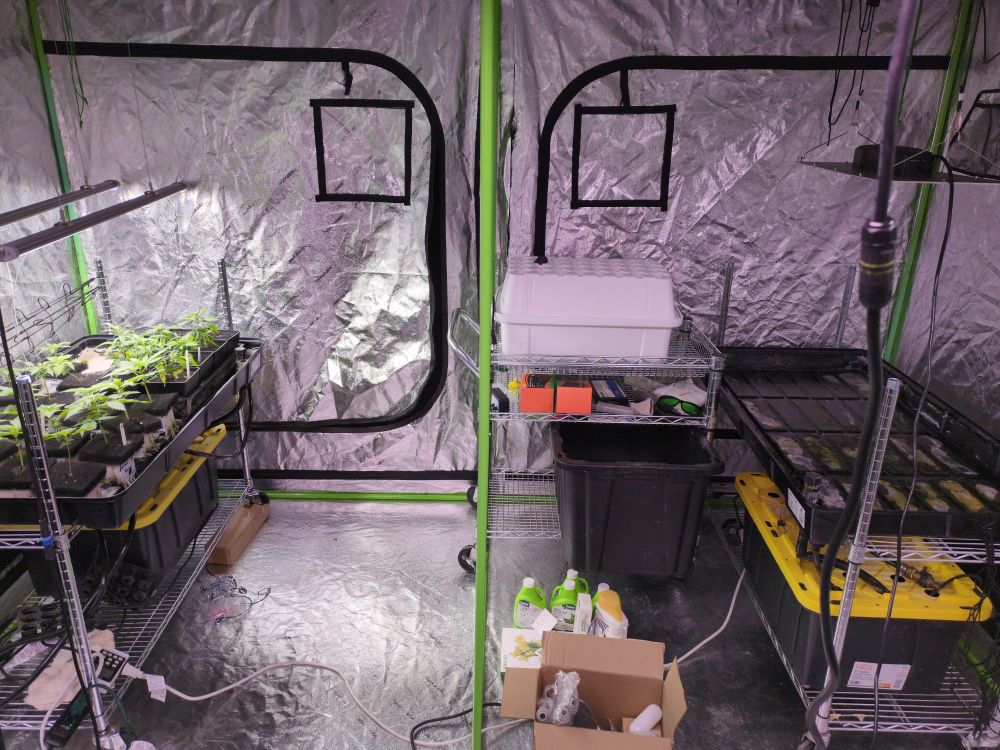 Alternate inside view of unfinished 10 x 10 grow tent.