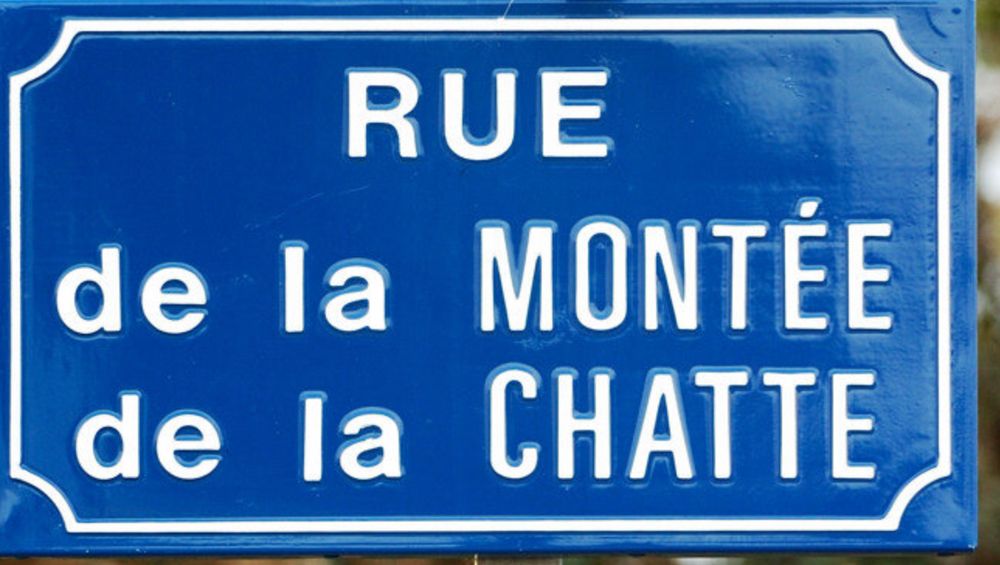 Panneau indiquant la rue de la montée à la chatte.