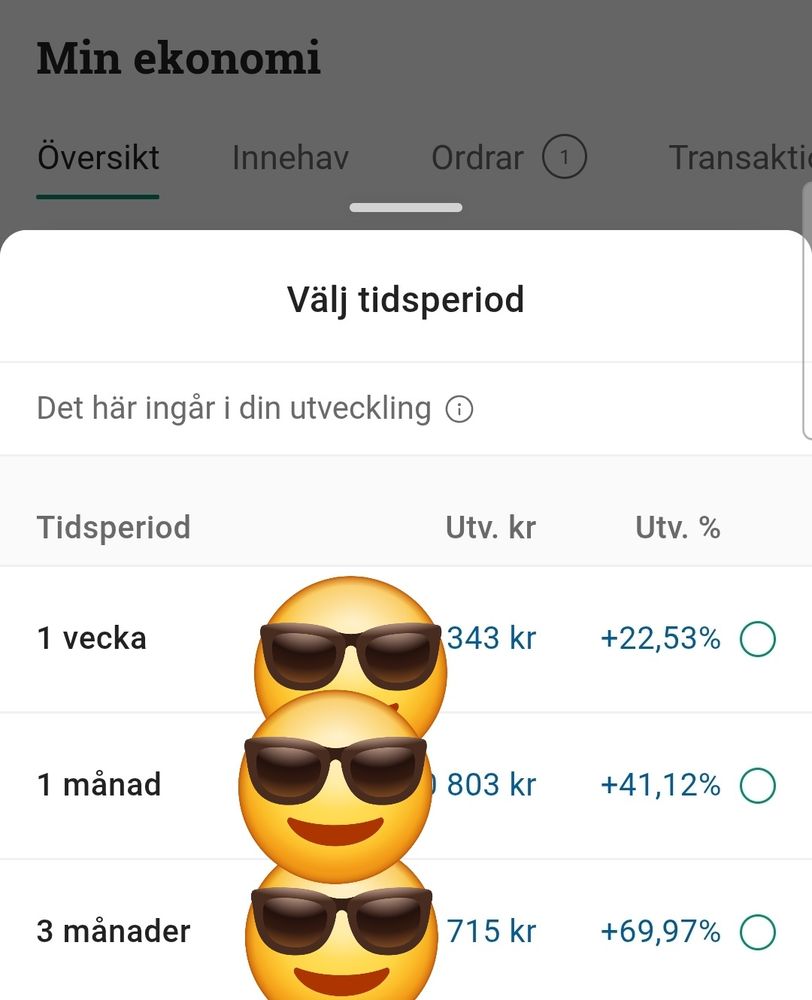Screenshot på en peak performance portfölj.