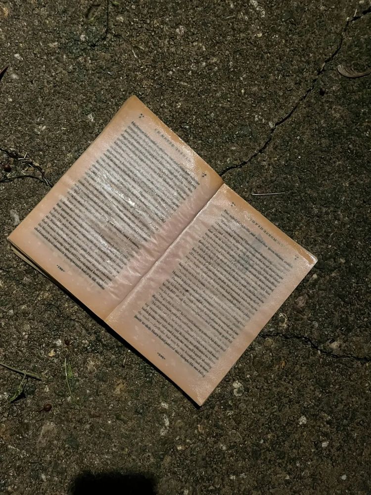 the first harry potter book open to a random page. the pages are completely soaked through with piss, and none of the words are clear or legible.