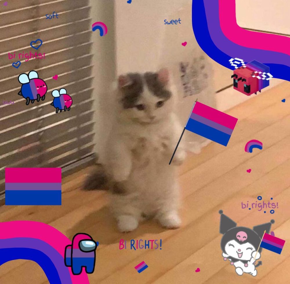 gatinho segurando a bandeira bisexual