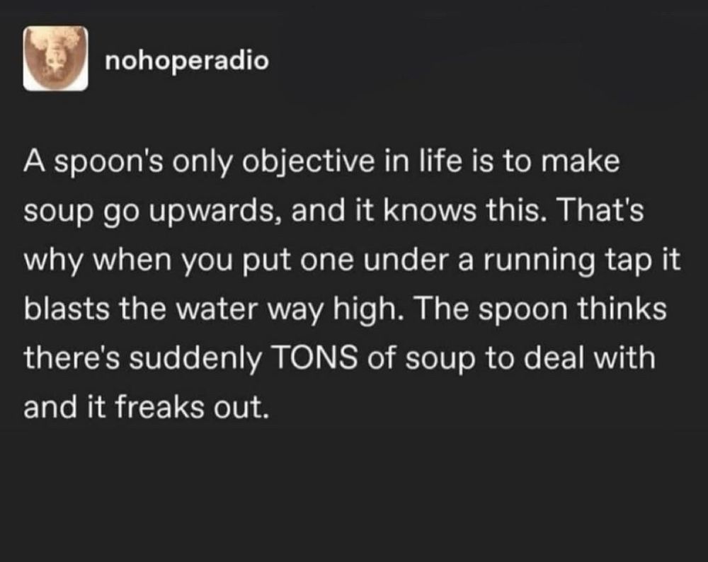 Screen cap of a Tumblr post by user nohoperadio:

A spoon's only objective in life is to make soup go upwards, and it knows this. That's why when you put one under a running tap it blasts the water way high. The spoon thinks there's suddenly TONS of soup to deal with and it freaks out.